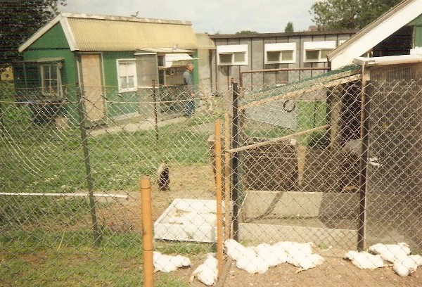 1992: Ron waiting at the youngsters getting home from the race.